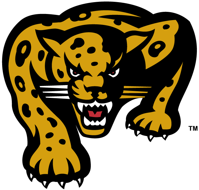 IUPUI Jaguars 2002-2007 Alternate Logo DIY iron on transfer (heat transfer)